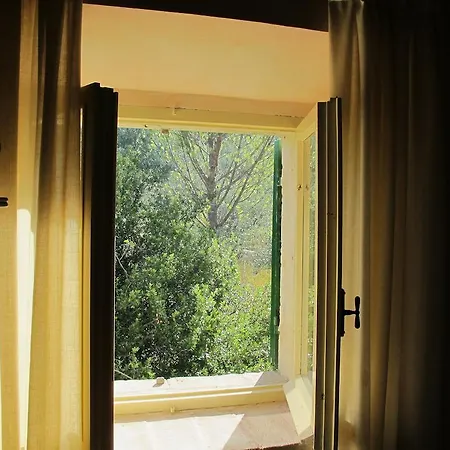 Plini Farm stay