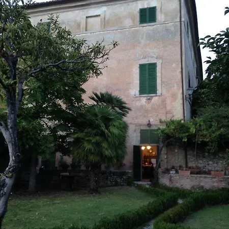 Plini Trevi
